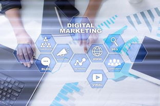 企業(yè)做互聯(lián)網(wǎng)營銷推廣怎能不了解這幾種營銷方法